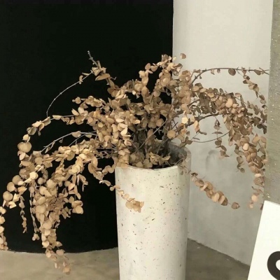 Furry绘画原创思路FurryQQ群